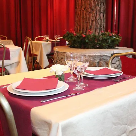 Hotel Romulus Rom